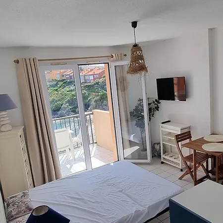 T2 A Avec Terrasse Et Parking, Acces Direct A La - Fr-1-309-514 * Collioure