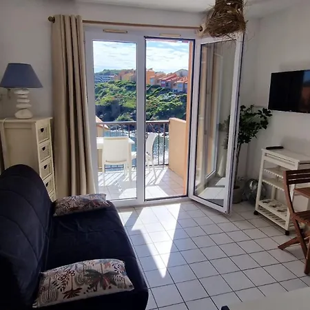 T2 A Avec Terrasse Et Parking, Acces Direct A La - Fr-1-309-514 Apartment Collioure