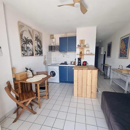 T2 A Avec Terrasse Et Parking, Acces Direct A La - Fr-1-309-514 * Collioure