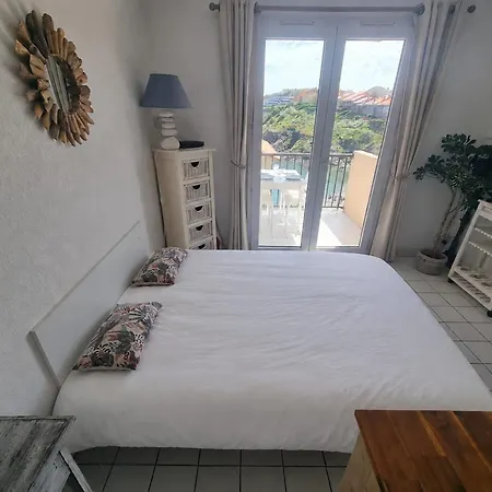 شقة T2 A Avec Terrasse Et Parking, Acces Direct A La - Fr-1-309-514 كولِيورْ
