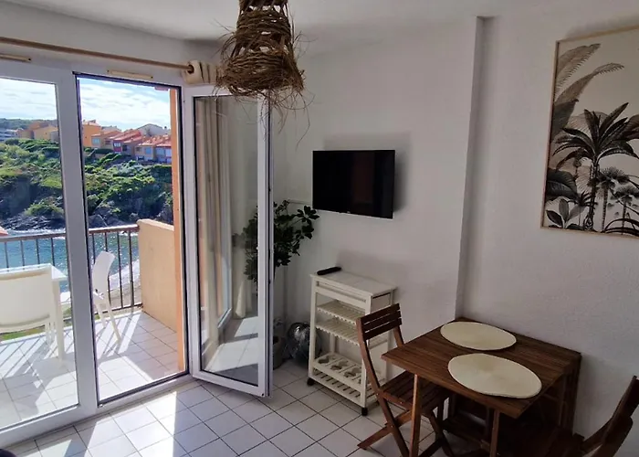T2 A Avec Terrasse Et Parking, Acces Direct A La - Fr-1-309-514 * Collioure