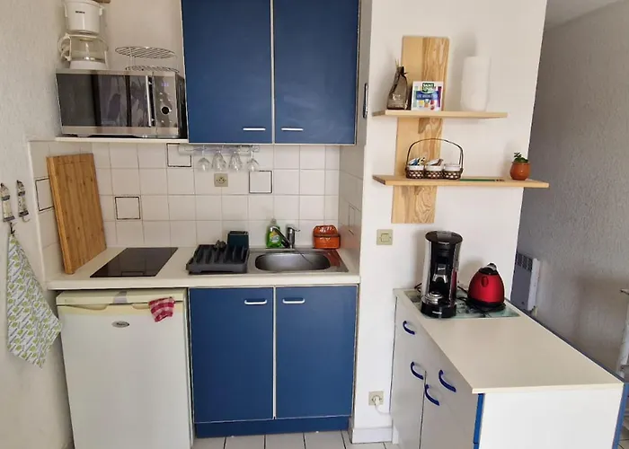 T2 A Avec Terrasse Et Parking, Acces Direct A La - Fr-1-309-514 Collioure