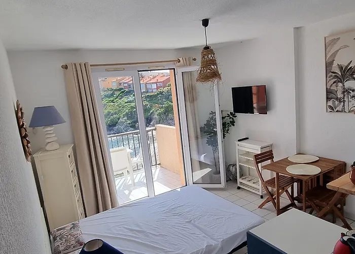 T2 A Avec Terrasse Et Parking, Acces Direct A La - Fr-1-309-514 * Collioure